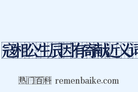 寇相公生辰因有寄献近义词是什么意思的图片